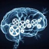 Логотип телеграм канала @brain_eremina — Мозг💡Принятие решений