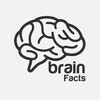 Telegram kanalining logotibi brain_fakts — Brain Facts