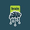 Логотип телеграм канала @brainforceintellects — БрейнФорс