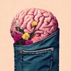 Логотип телеграм канала @braininthepocket — МВК