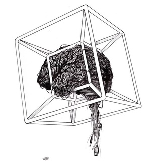 Логотип телеграм канала @brainsderivatives — 🧠 Мозг и его производные — Сергей Предко