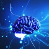 Brainstorm Alphas - Telegram Channels