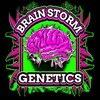 Telegram арнасының логотипі brainstormgenetic — BRAIN STORM GENETICS🚢📦📦