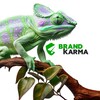Логотип телеграм канала @brandkarmatg — Ериды, тексты, два поста | BrandKarma