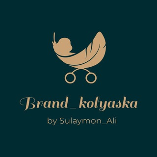 Telegram kanalining logotibi brandkolyaska — BRAND Kolyaska