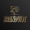 Логотип телеграм канала @brandvibe — BrandVibe | Бизнес Маркетинг