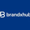 Logo of telegram channel brandxhub — Brand hub