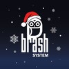 Logo of telegram channel brash_company — BRASH SYSTEM 🦉
