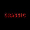 Логотип телеграм канала @brassic_game — Brassic Game
