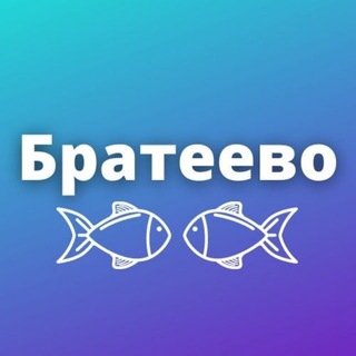 Логотип телеграм канала @brateevomsk — Братеево