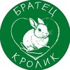 Логотип телеграм канала @bratik_krolik — Братец Кролик 🐰 Уютное пространство с кроликами