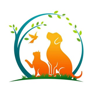 Логотип телеграм канала @bravecto_simparika — Бравекто💊/Симпарика/Animal Healer