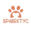 Telegram channel БРАВЕКТУС logo