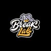 Логотип телеграм канала @breaklabcrew — BreakLab.