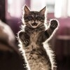 Логотип телеграм канала @bredocat — Бредокошка