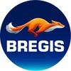 Логотип телеграм канала @bregisco — БРЕГИС