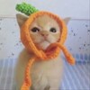 Логотип телеграм канала @brelki085 — место для творений
