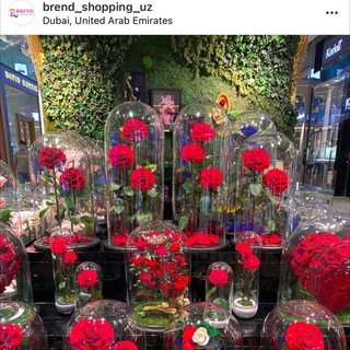 Логотип телеграм канала @brend_shopping_uz — Brend_shopping_uz