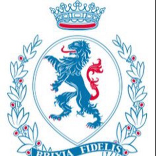 Logo del canale telegramma bresciagram - Bresciagram
