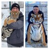 Логотип телеграм канала @bresciani2223 — жизнь с котами 🦁🐯в цирке Carlos bresciani