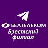Лагатып тэлеграм-канала brest_beltelecom — БЕЛТЕЛЕКОМ•Брестский филиал