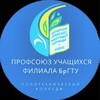 Логотип телеграм канала @brestprofbgpk — ПРОФСОЮЗ учащихся филиала БрГТУ Политехнический колледж