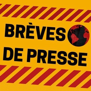 Logo de la chaîne télégraphique brevesdepresse - Brevesdepresse