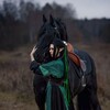 Логотип телеграм канала @brevnocos — бревнышко косплеит🌿