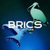 Логотип телеграм канала @bricsprojectlab — BRICS Project Lab | Проектная Лаборатория БРИКС