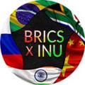 Logo saluran telegram bricsxinu — BRICS-X Inu Announcement