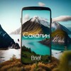 Логотип телеграм канала @brief_sakh — Сахалин Brief