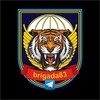 Логотип телеграм канала @brigada83 — 83 Уссурийская