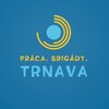 Логотип телеграм канала @brigada_trnava — Бригада,праця в Трнаві для українців