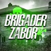 Telegram channel Brigader_Zabor logo