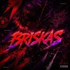 Логотип телеграм канала @briskas_so2 — BRISKAS