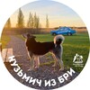 Логотип телеграм канала @brivillagekzn — Кузьмич из Бри