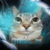Логотип телеграм канала @briwlbs — Briwl