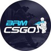 Логотип телеграм канала @brmcsgo — 🕹 BRMCSGO 🕹