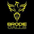 Logotipo do canal de telegrama brodiecalls - Brodie Calls