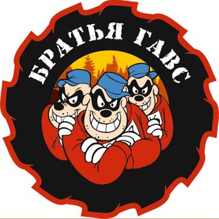 Логотип телеграм канала @brogavs23 — БРАТЬЯ ГАВС | СЛИВ СТАВОК