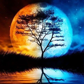 لوگوی کانال تلگرام bronfakni — پرواز روح برون فکنی