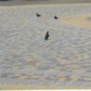 Логотип телеграм канала @bruch_kazak — Брусчатка на Казачьей площади