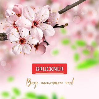 Логотип телеграм канала @bruckner_tea — BRUCKNER - Чай, каким он должен быть!