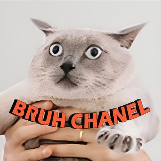 Logo of telegram channel bruh_chanel — Bruh chanel