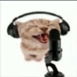 Telegram каналынын логотиби brumcanaledivertent — 🎸☠️🤟brum!☮️✌️🏳️‍⚧️