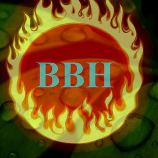 Logo of telegram channel brutalhackingop — BGMI BRUTAL HACKS💯🔥