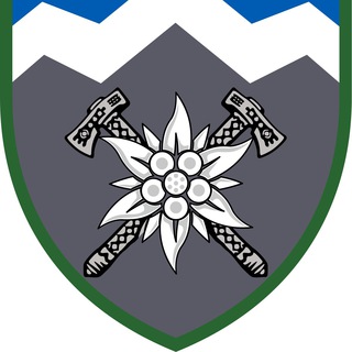 Логотип телеграм -каналу brygada10 — 10 бригада - Едельвейси