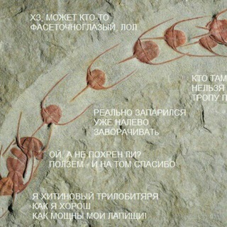 Логотип телеграм канала @bryozoans — Мысли без позвоночника