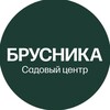 Логотип телеграм канала @brysnikasad — Садовый центр Брусника| Барнаул