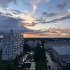 Логотип телеграм канала @brzzzlov — Признавашки Березовского